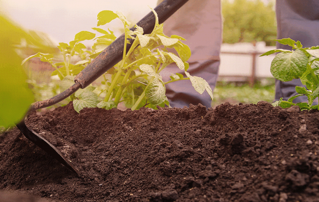 Advice For Soil Preparation For Organic Gardens