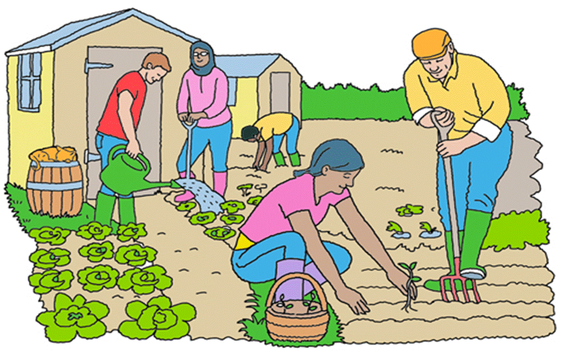 VEGETABLES TO PLANT IN JUNE