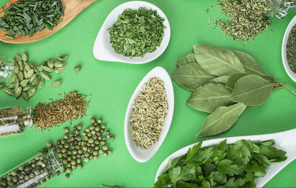 A Guide To Growing Aromatic Herbs