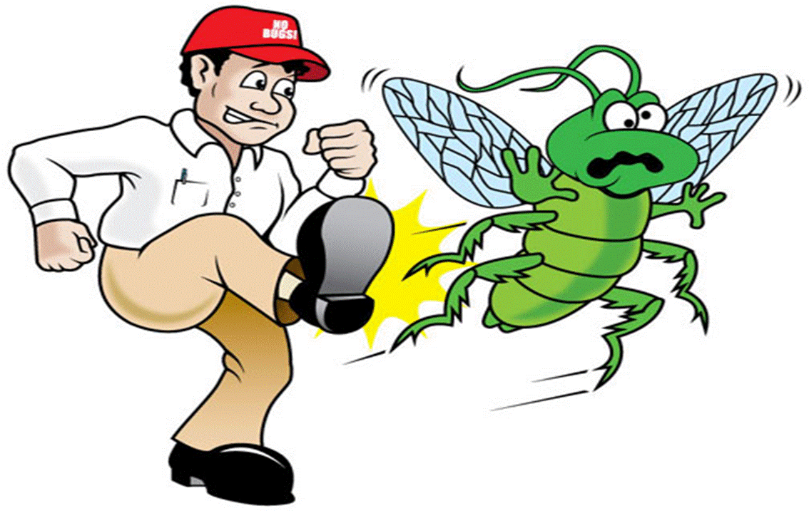 Natural Pest Control Methods