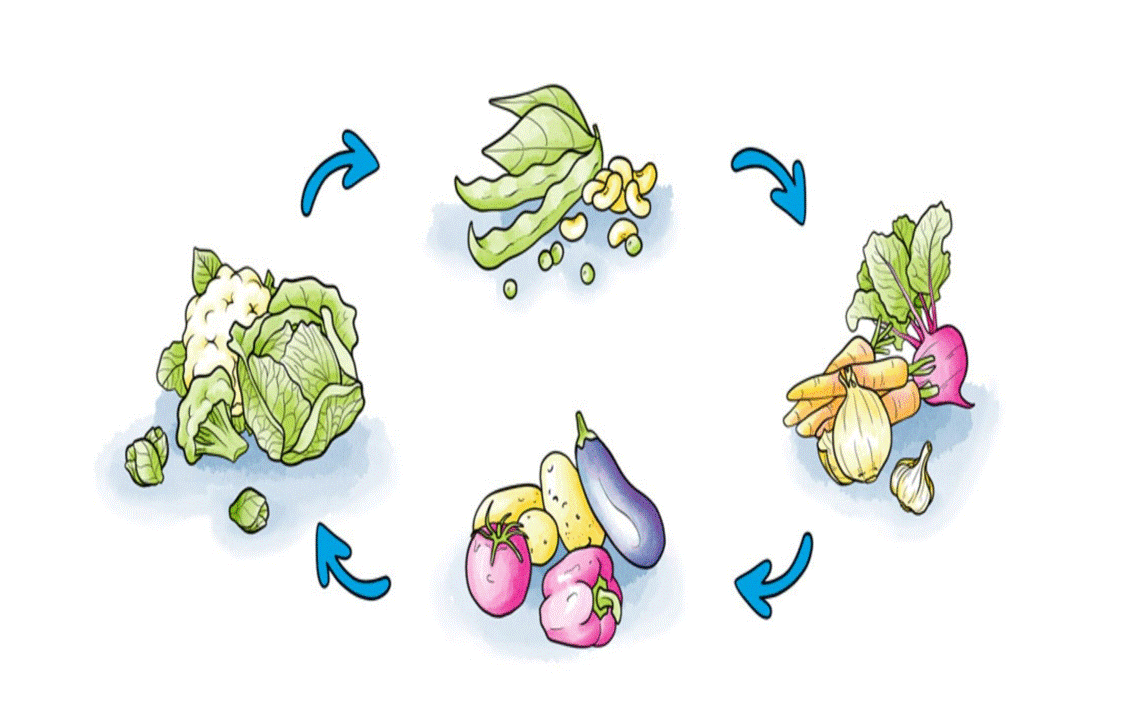 Planning For The Rotation Of Crops