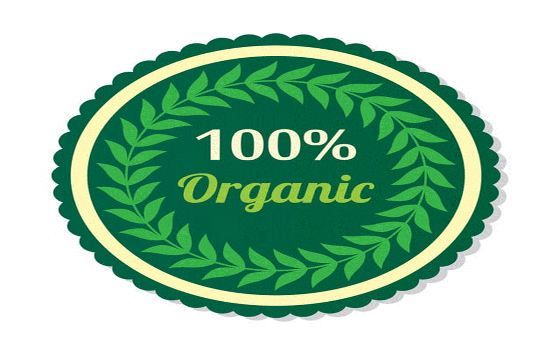 WHAT IS AN ORGANIC GARDEN?