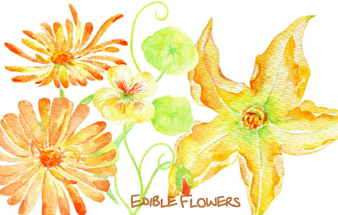 A Guide To Growing Edible Flowers