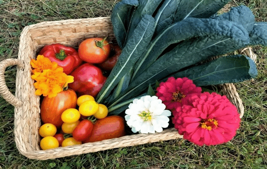 The Benefits Of Companion Planting