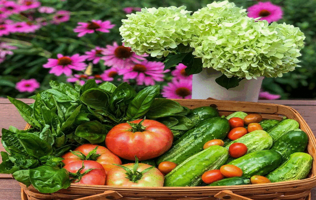 What Is An Organic Garden?