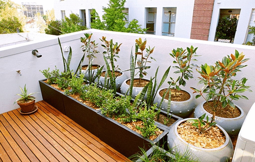 Growing Crops On A Balcony