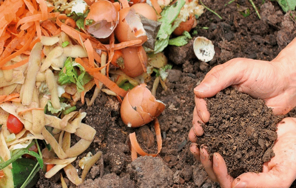 Natural Soil Treatments