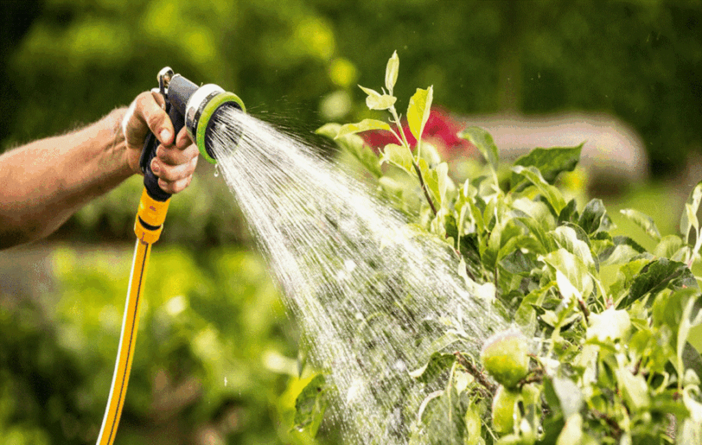 The Key Principles Of Irrigation