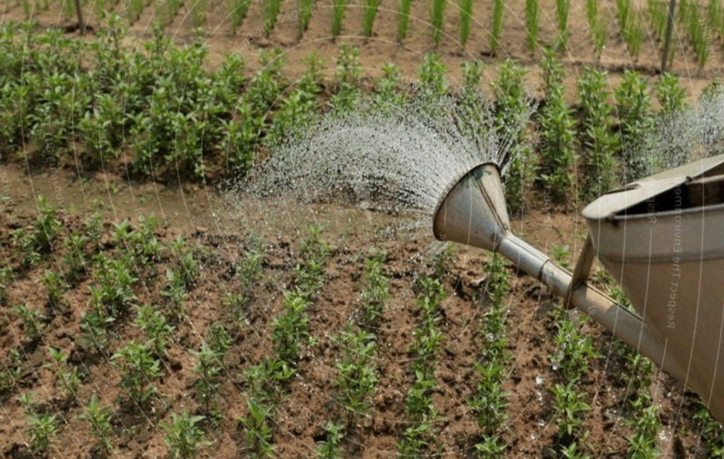 The Key Principles Of Irrigation