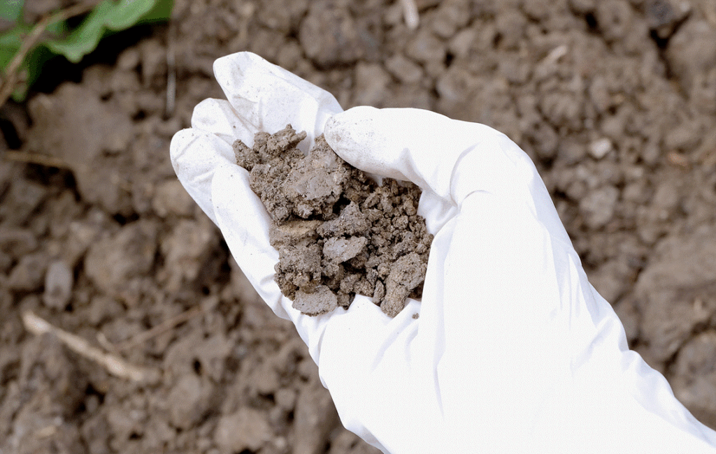 Spotting Soil Contamination