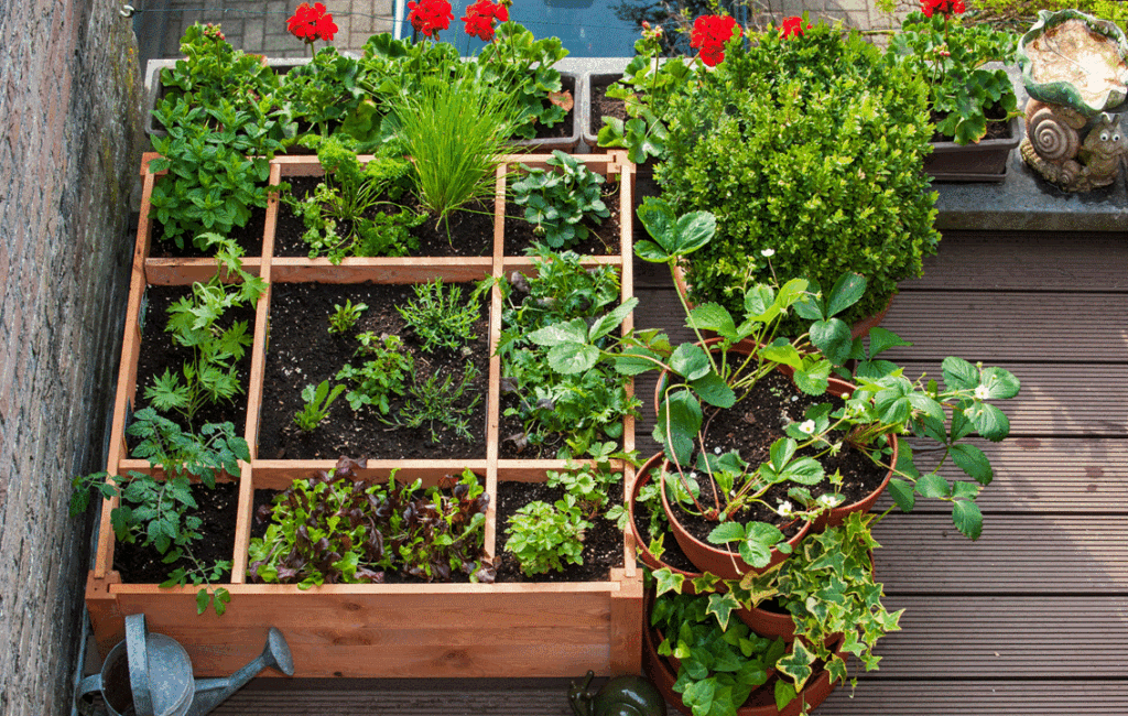 Growing Crops On A Balcony