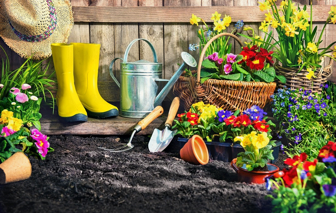 Why This Site For Organic Gardeners