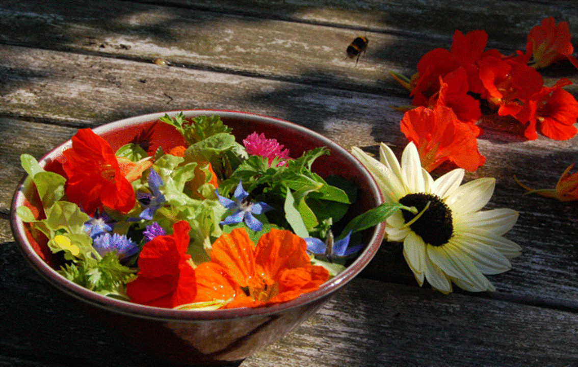 CULTIVATING EDIBLE FLOWERS DURING SPRING