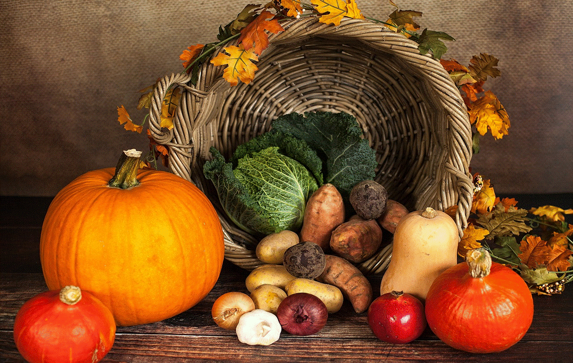 SEASONAL GUIDELINES FOR GROWING CROPS DURING AUTUMN