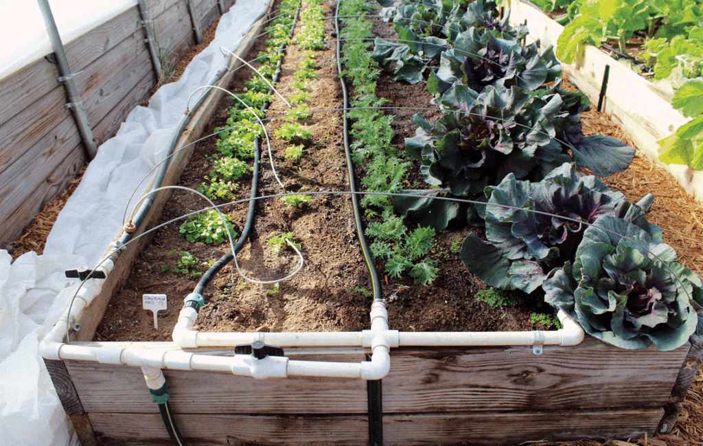 Installing A Drip Irrigation System