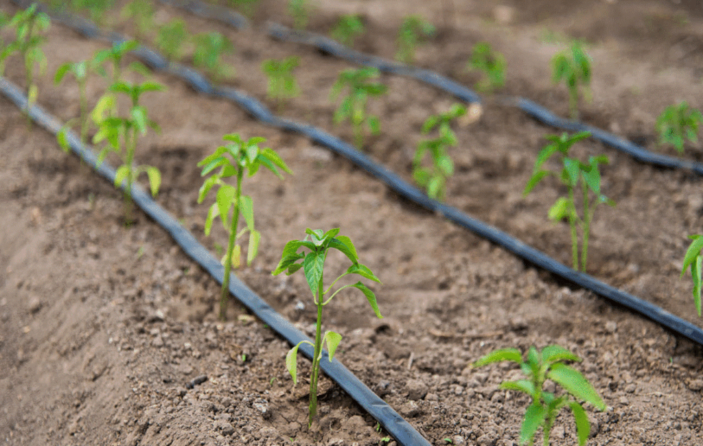 How To Install A Drip Irrigation Sysytem