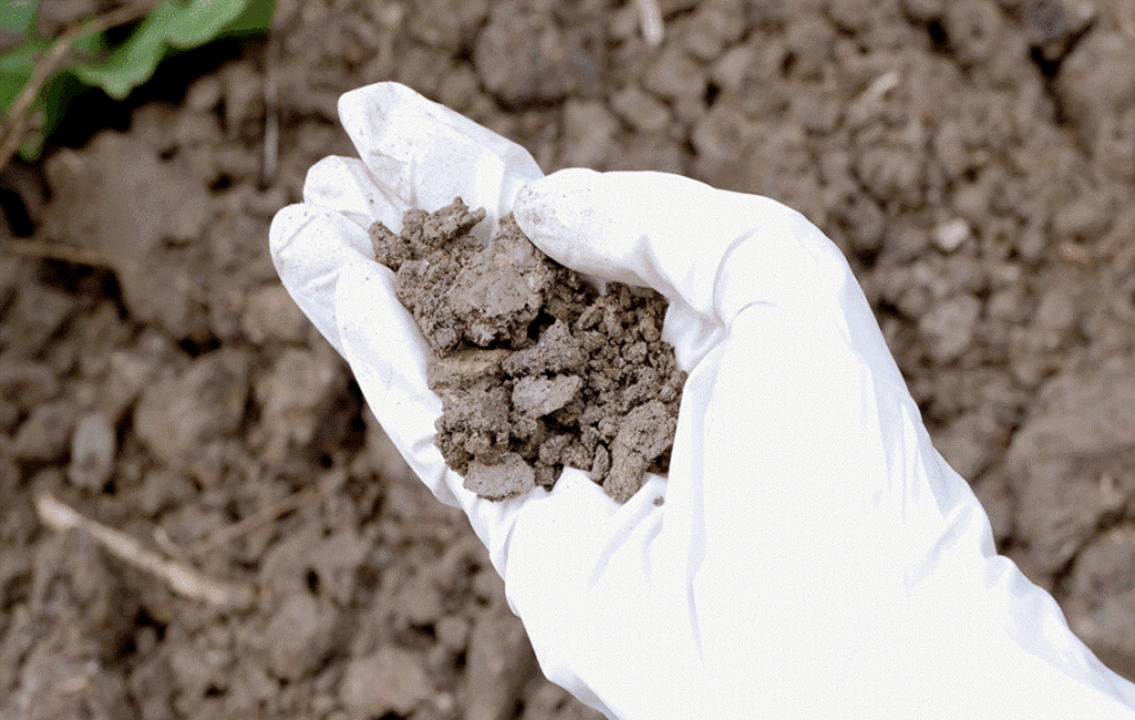 Identifying Soil Contamination